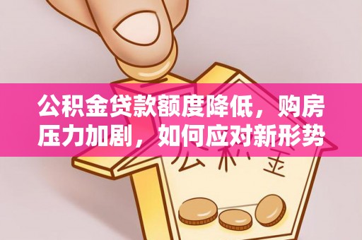 寻甸公积金贷款额度降低，购房压力加剧，如何应对新形势？