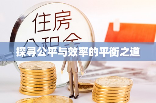 寻甸探寻公平与效率的平衡之道