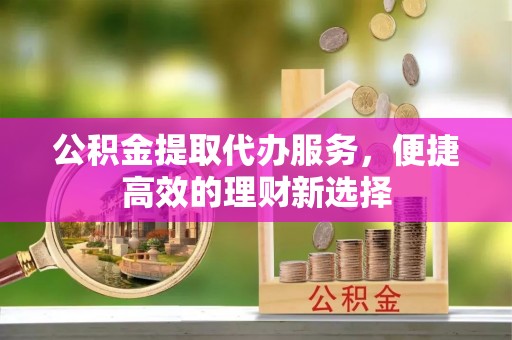 寻甸公积金提取代办服务，便捷高效的理财新选择