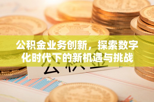 寻甸公积金业务创新，探索数字化时代下的新机遇与挑战