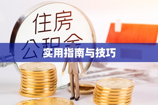 寻甸实用指南与技巧