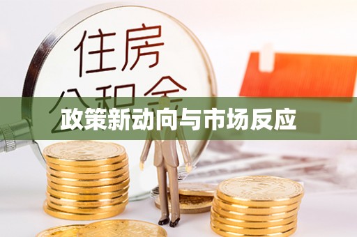 寻甸政策新动向与市场反应
