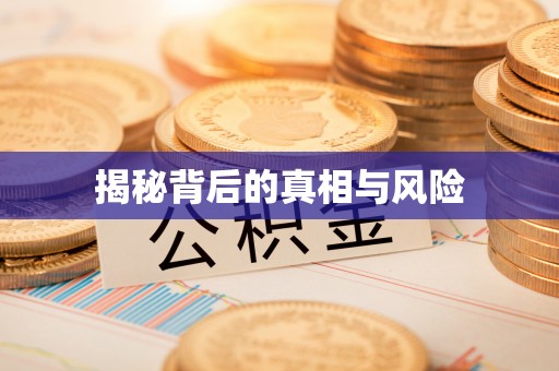 寻甸揭秘背后的真相与风险