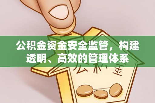 寻甸公积金资金安全监管，构建透明、高效的管理体系