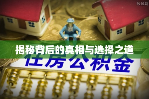 寻甸揭秘背后的真相与选择之道