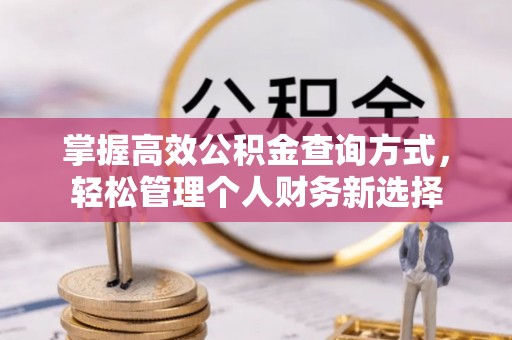 寻甸掌握高效公积金查询方式，轻松管理个人财务新选择