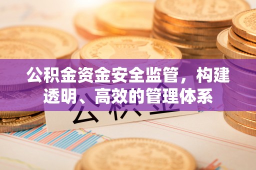 寻甸公积金资金安全监管，构建透明、高效的管理体系