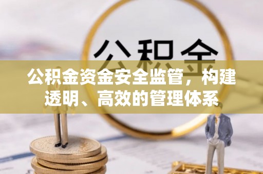 寻甸公积金资金安全监管，构建透明、高效的管理体系