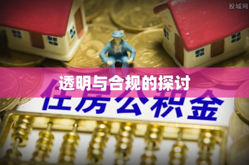 寻甸透明与合规的探讨