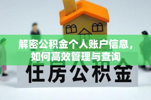 寻甸解密公积金个人账户信息，如何高效管理与查询
