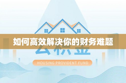 寻甸如何高效解决你的财务难题