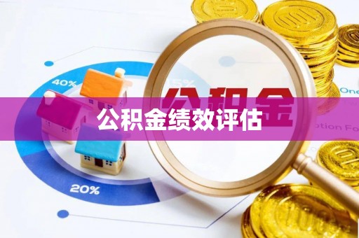 寻甸公积金绩效评估