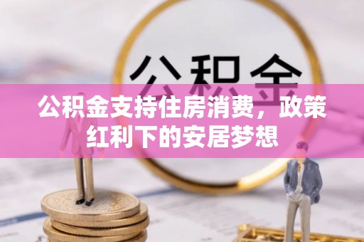 寻甸公积金支持住房消费，政策红利下的安居梦想