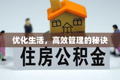 寻甸优化生活，高效管理的秘诀