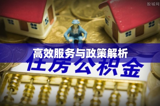 寻甸高效服务与政策解析