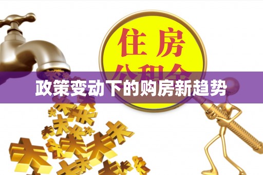 寻甸政策变动下的购房新趋势