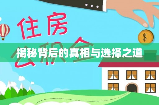 寻甸揭秘背后的真相与选择之道