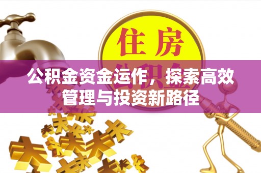 寻甸公积金资金运作，探索高效管理与投资新路径