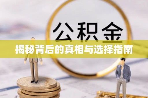 寻甸揭秘背后的真相与选择指南