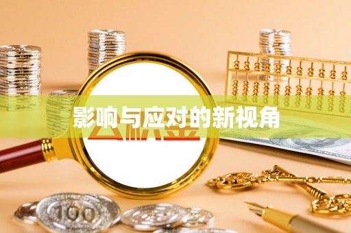 寻甸影响与应对的新视角