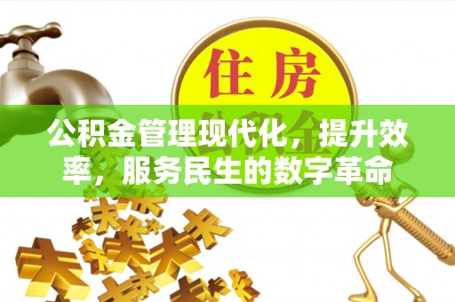寻甸公积金管理现代化，提升效率，服务民生的数字革命