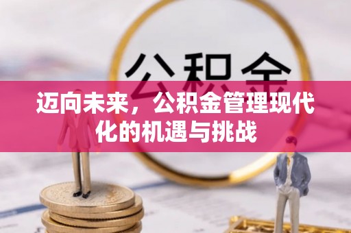 寻甸迈向未来，公积金管理现代化的机遇与挑战
