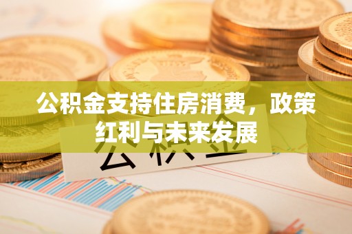 寻甸公积金支持住房消费，政策红利与未来发展