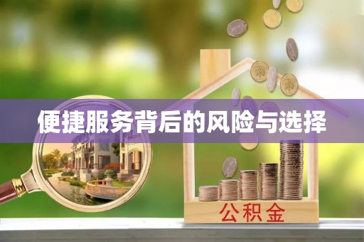 寻甸便捷服务背后的风险与选择