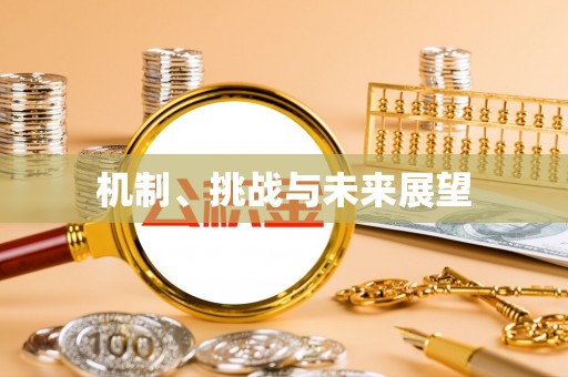 寻甸机制、挑战与未来展望