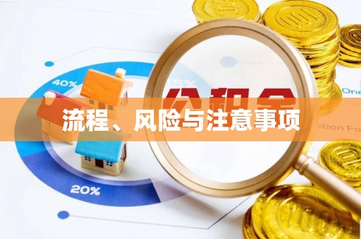 寻甸流程、风险与注意事项