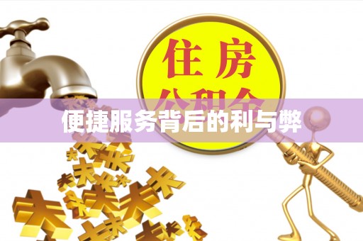 寻甸便捷服务背后的利与弊